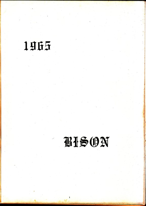 Bison65 (16)